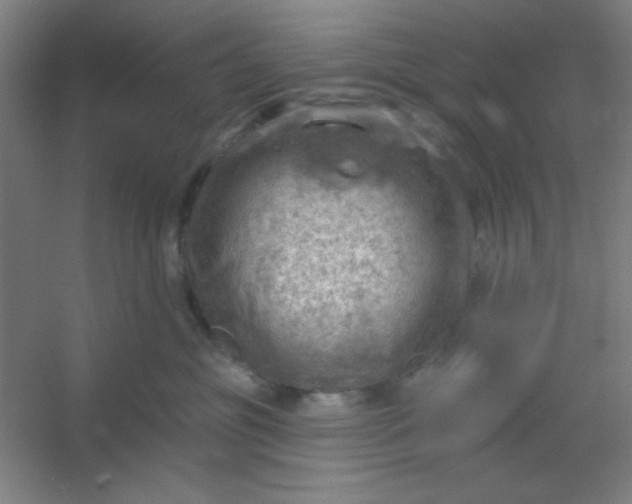 X0000054400381200508121705