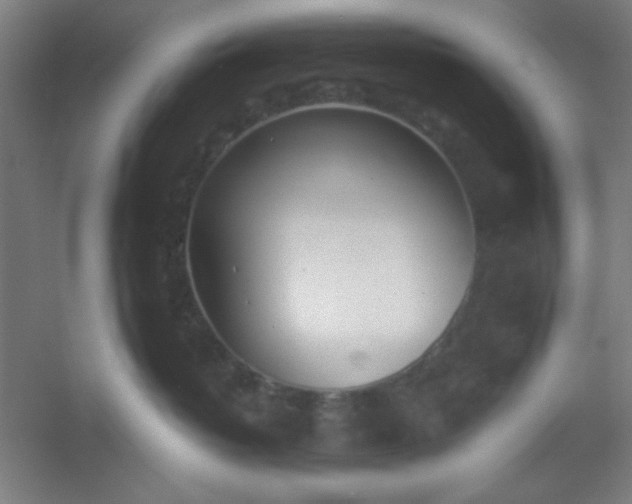 X0000054400382200508121705