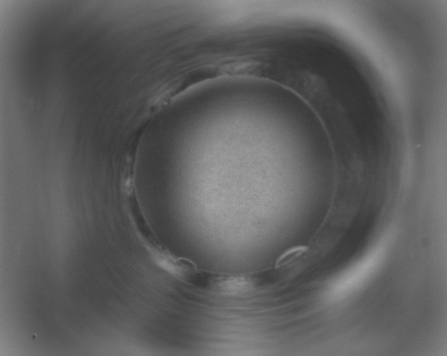 X0000054400383200508121705