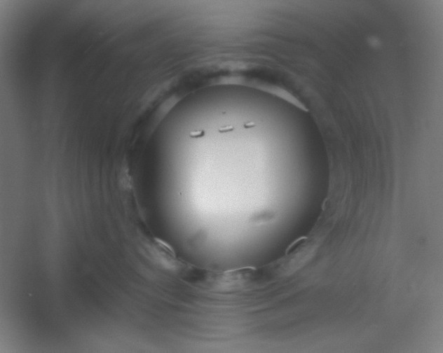 X0000054400384200508121705