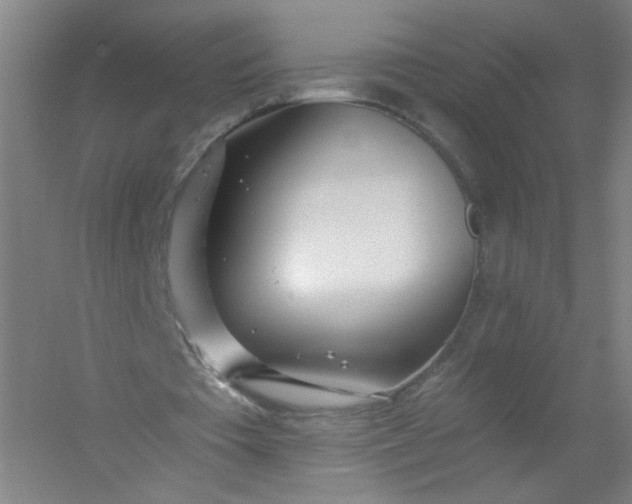 X0000054400385200508121704