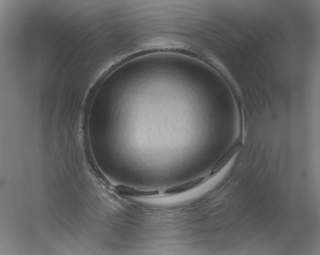 X0000054400387200508121704