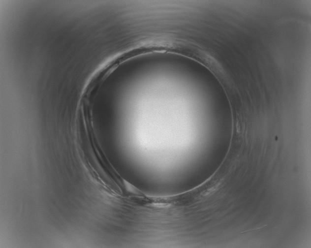 X0000054400388200508121704