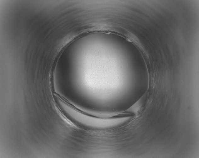 X0000054400389200508121704