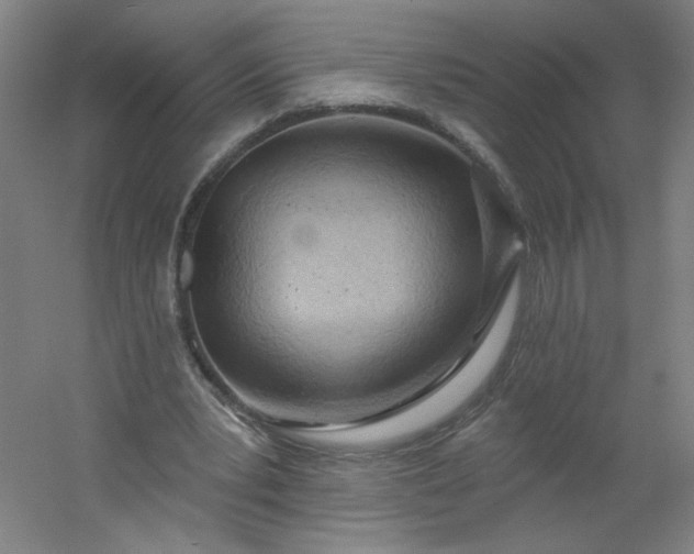 X0000054400391200508121704