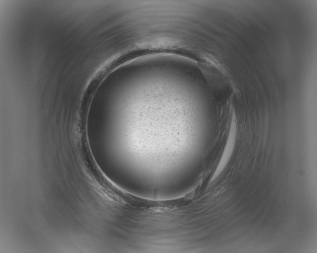 X0000054400392200508121704