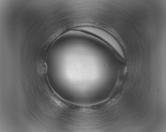 X0000054400393200508121704