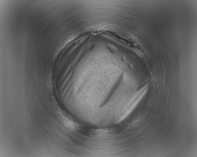 X0000054400394200508121704