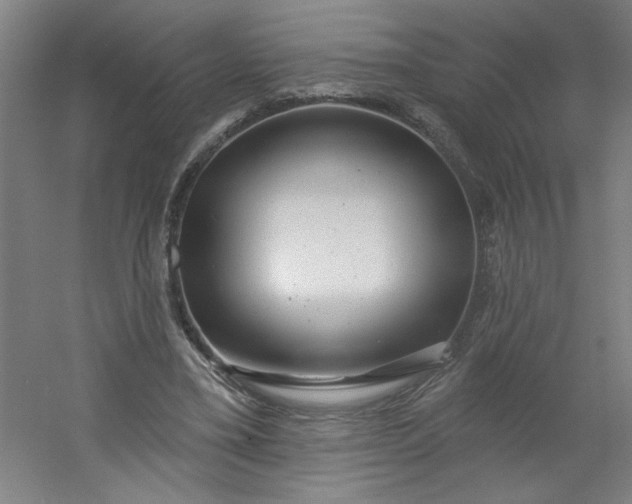 X0000054400395200508121704