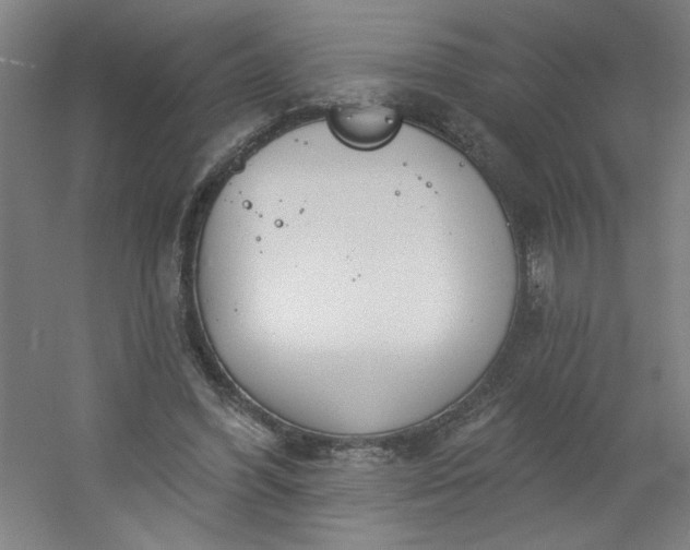 X0000054400396200508121704