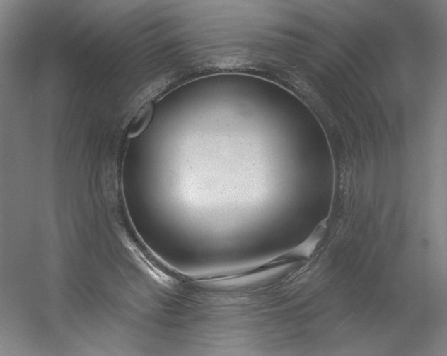 X0000054400397200508121704