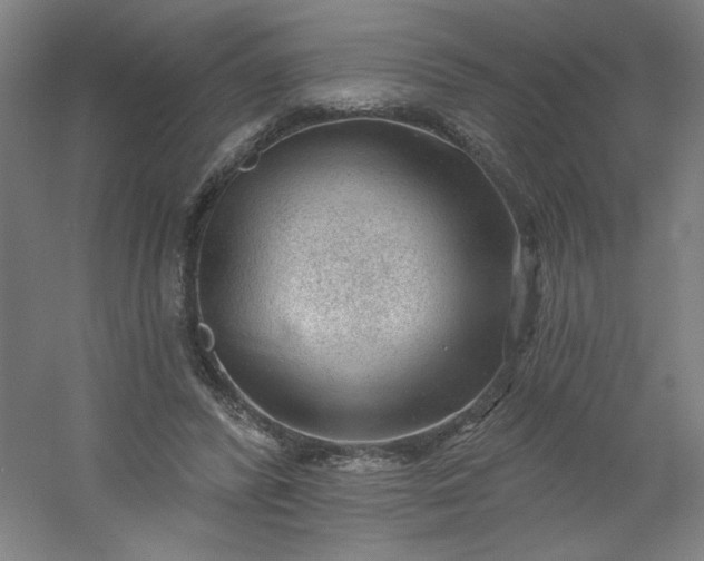 X0000054400400200508121704