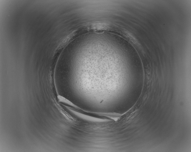 X0000054400401200508121704