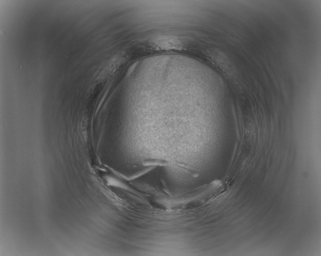 X0000054400402200508121704