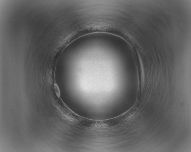 X0000054400403200508121704