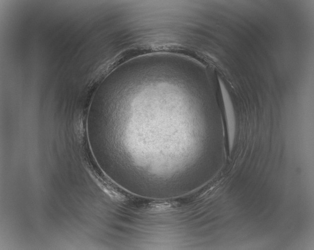 X0000054400405200508121704