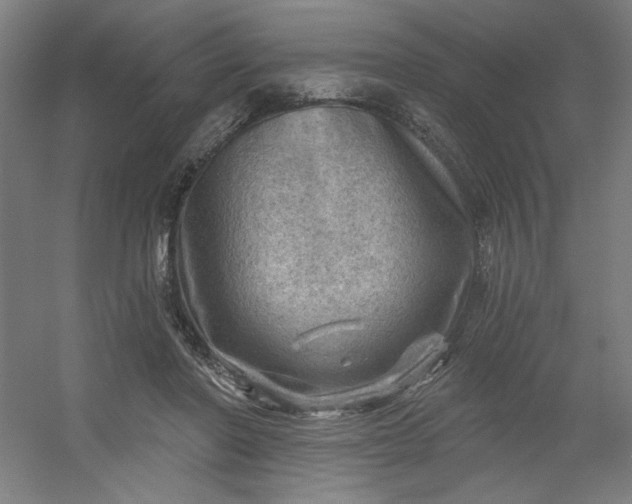 X0000054400406200508121704