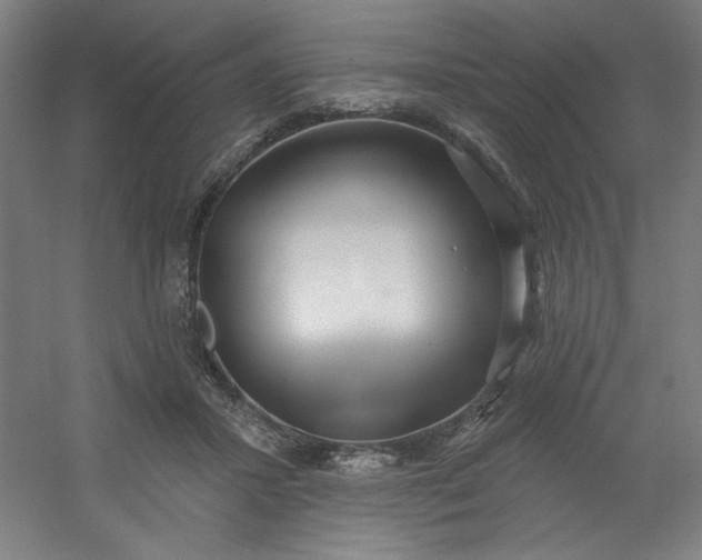 X0000054400407200508121704