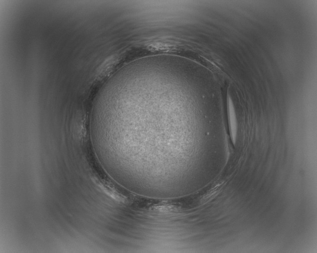 X0000054400408200508121704