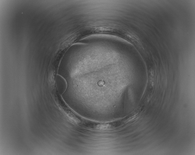 X0000054400410200508121704