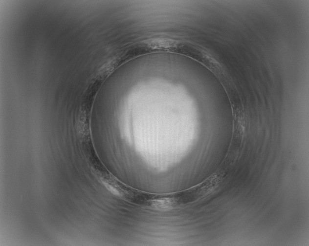 X0000054400411200508121704