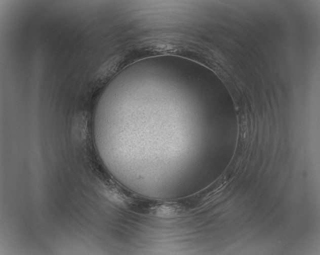 X0000054400412200508121704