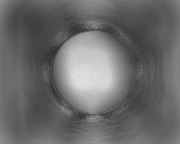 X0000054400414200508121704