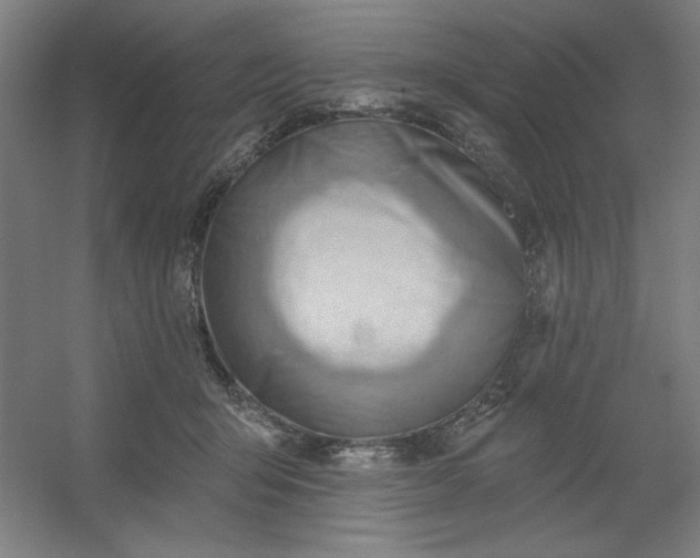 X0000054400415200508121704