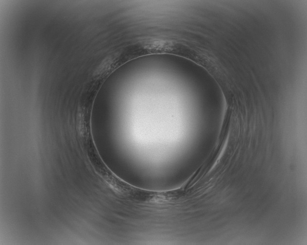 X0000054400416200508121704