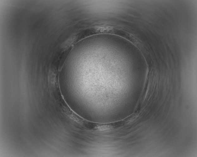 X0000054400417200508121704