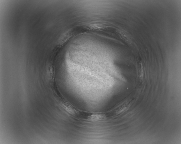 X0000054400418200508121704