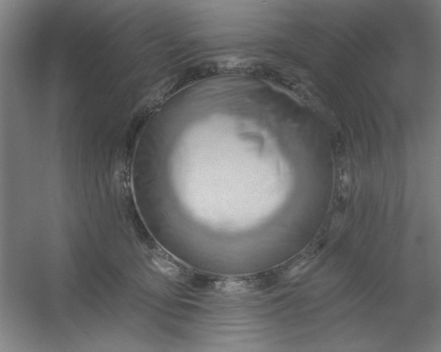 X0000054400419200508121704