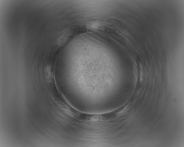 X0000054400420200508121704