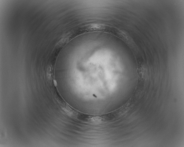 X0000054400423200508121704