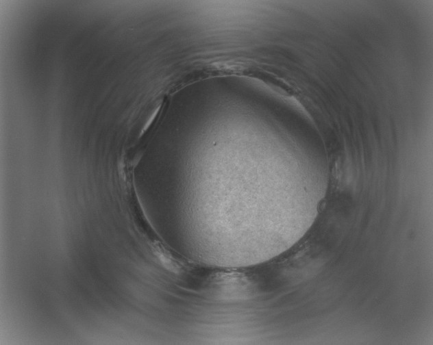 X0000054400424200508121704