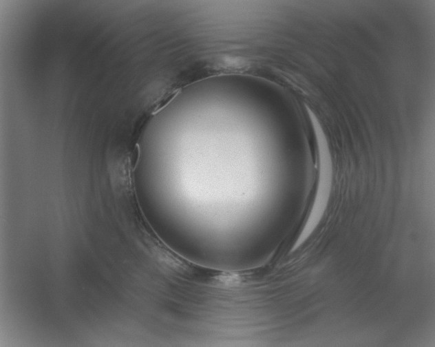 X0000054400425200508121704