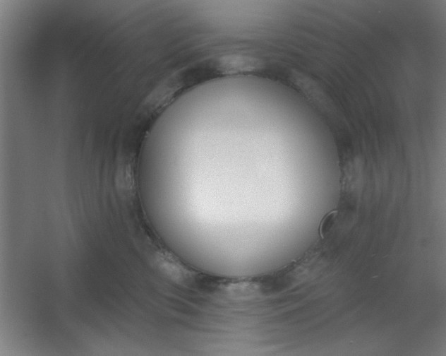 X0000054400426200508121704