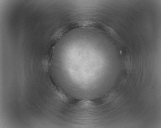 X0000054400427200508121704