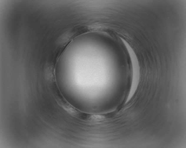 X0000054400429200508121704