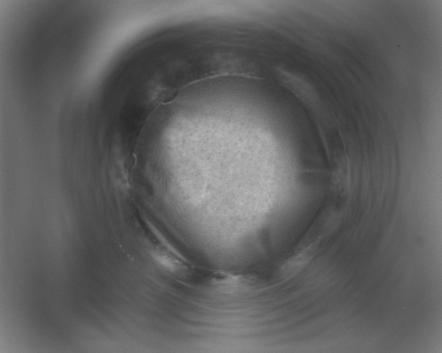 X0000054400430200508121704