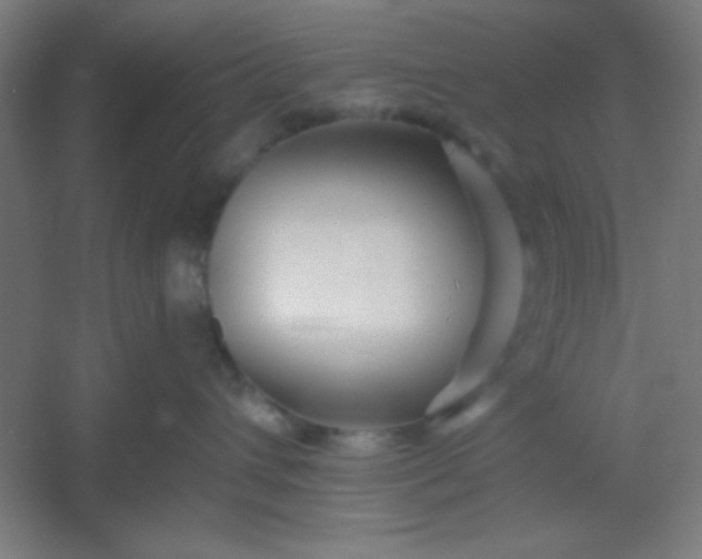 X0000054400432200508121704