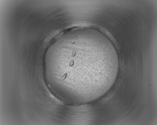 X0000054400433200508121703