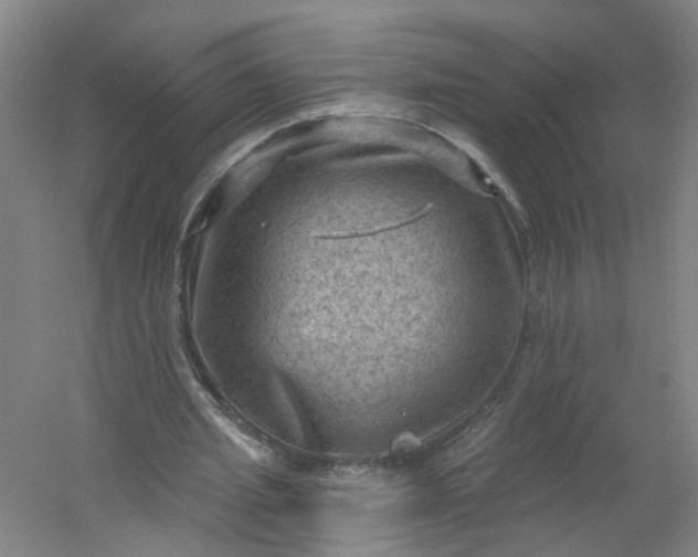 X0000054400437200508121703