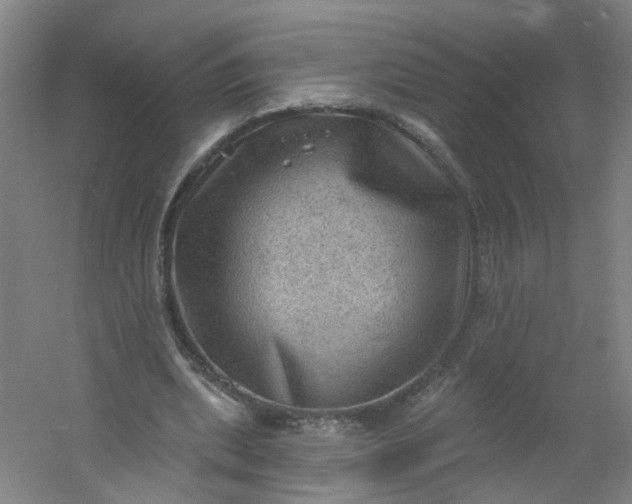 X0000054400439200508121703