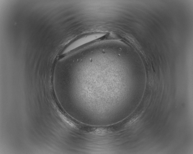 X0000054400441200508121703