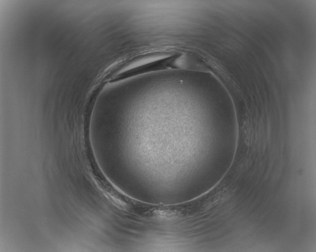 X0000054400442200508121703