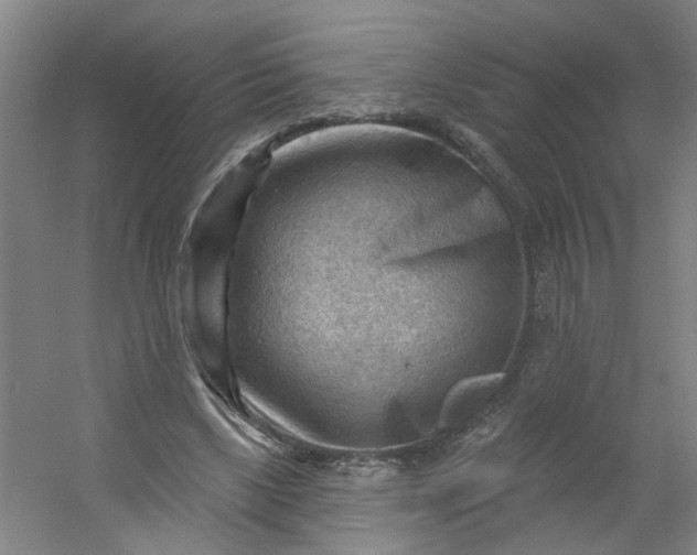 X0000054400443200508121703