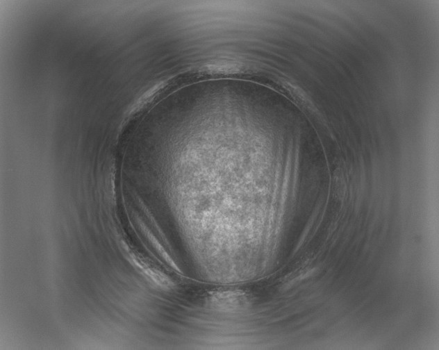 X0000054400446200508121703