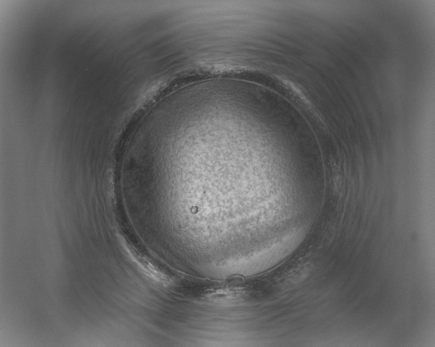 X0000054400447200508121703