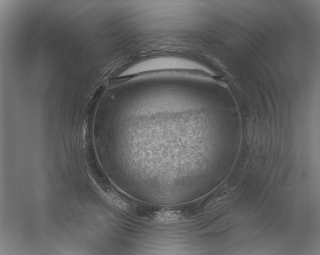 X0000054400451200508121703